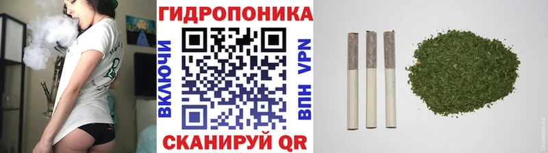 Бошки марихуана конопля  Купить где  Сургут 